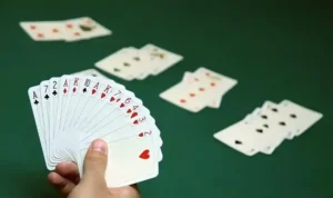 Sắc Tê Nhà Cái Rikbet